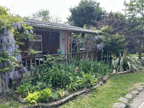 woodpaddock bandb