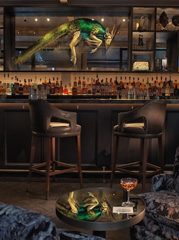 the mandrake hotel adults only hotel