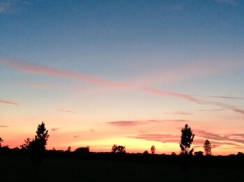 New Farm Bed & Breakfast,Cheshire East>>Cheshire,4 star