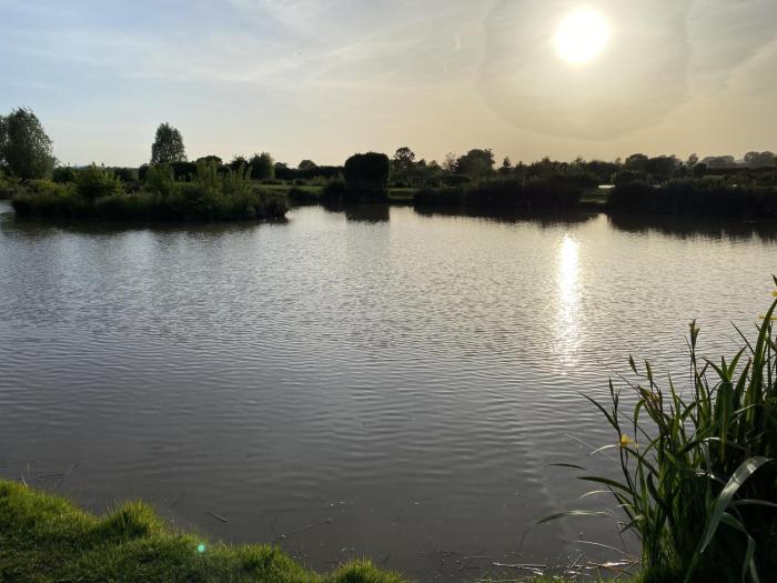 new farm bed and breakfast