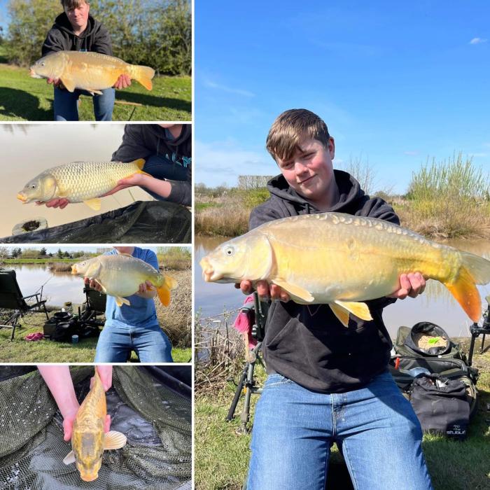 new farm bed and breakfast