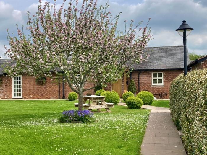 new farm bed and breakfast