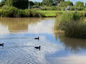 new farm bed and breakfast