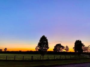 new farm bed and breakfast