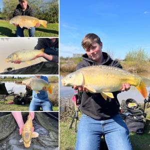 new farm bed and breakfast