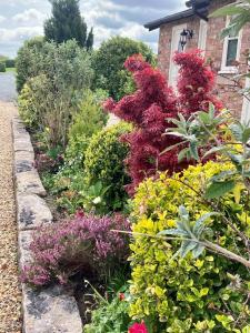 new farm bed and breakfast