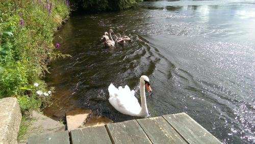 Holden House,Derby>>Castle Donington,3 star