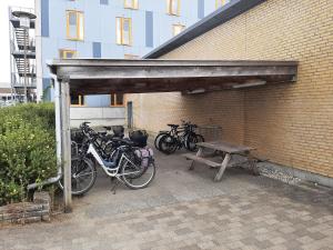 kolding sportel