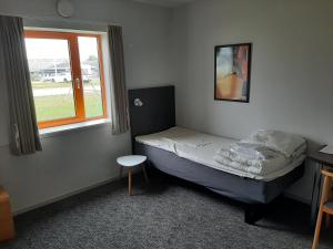 kolding sportel