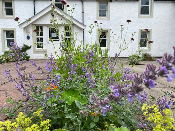 hartfield house hostel