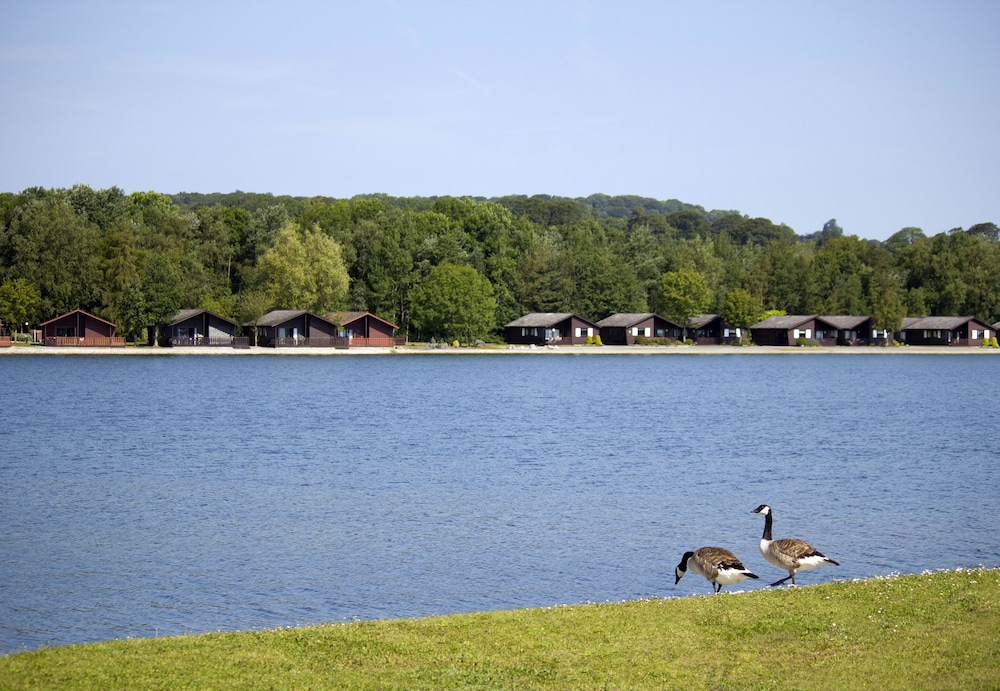 pine lake resort