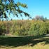 accommodation at salomons estate