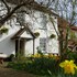 the furze bush inn