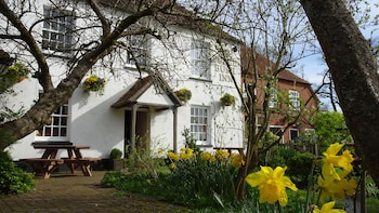 the furze bush inn