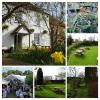 the furze bush inn