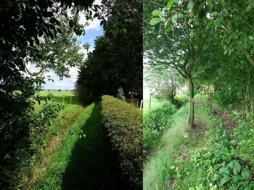 Kenilworth Garden Accommodation,Wisbech>>Cambridgeshire,3 star