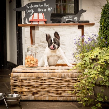 The Greyhound Inn & Hotel,Gwent>>Cardiff,4 star