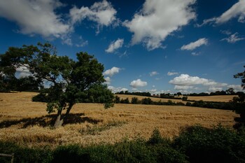 downham hall