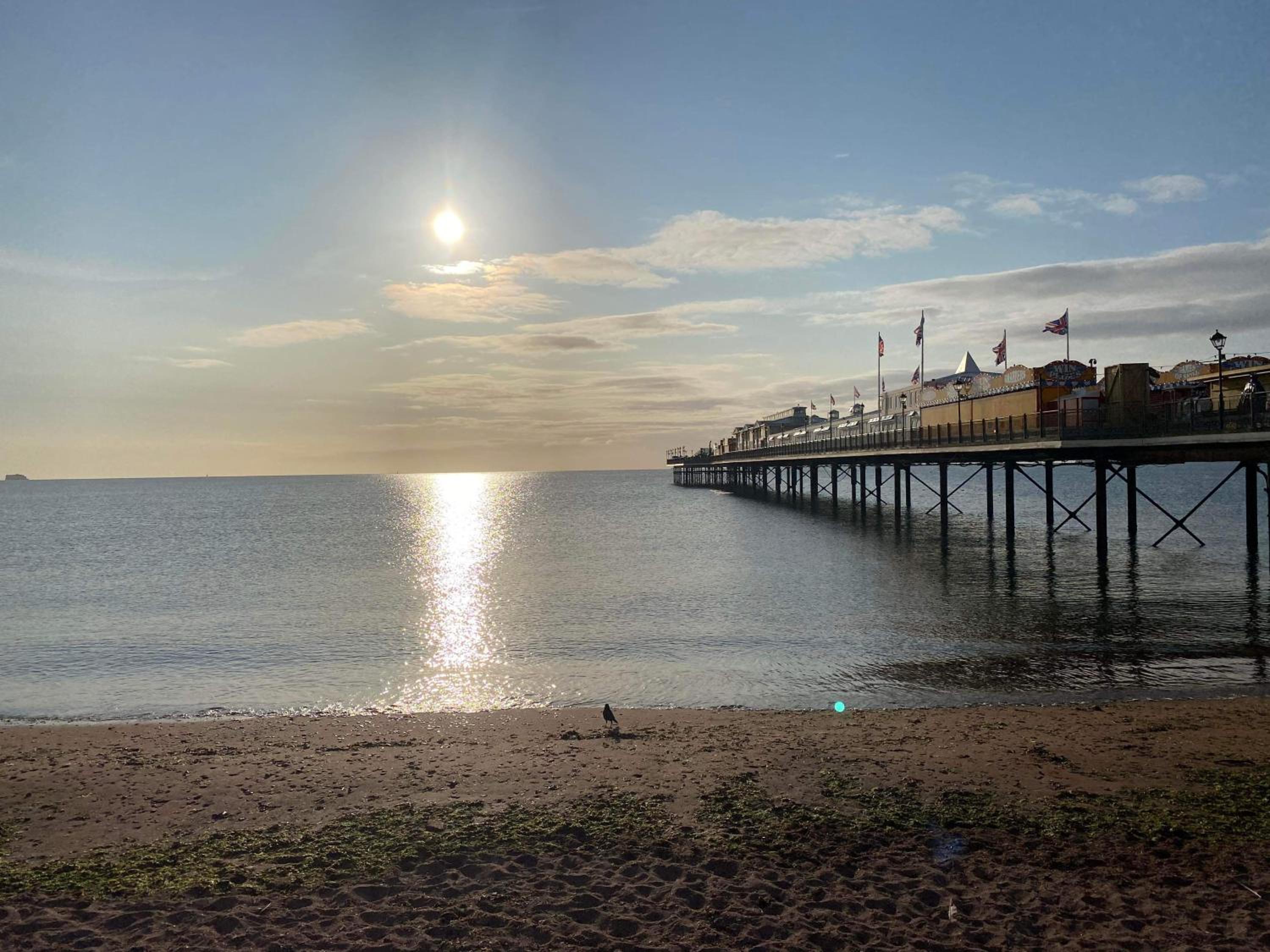 paignton