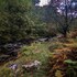 mill lodge brecon beacons