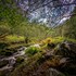 mill lodge brecon beacons