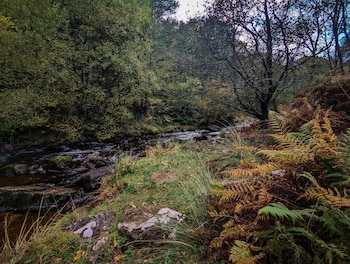 mill lodge brecon beacons