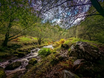 mill lodge brecon beacons