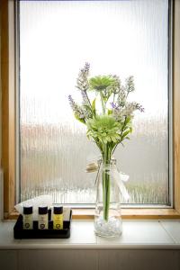 mica point city centre apartment