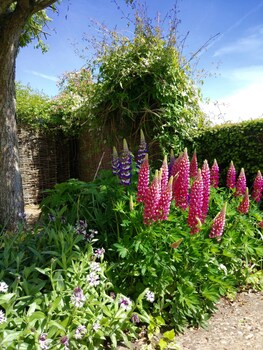 Bowden House B&B,Melrose>>Dumfries,4 star