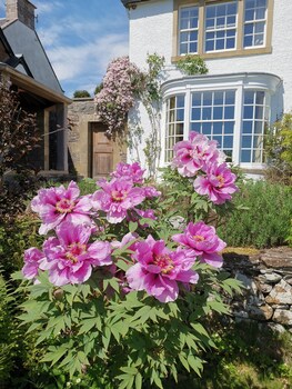 Bowden House B&B,Melrose>>Dumfries,4 star