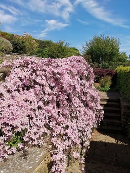 Bowden House B&B,Melrose>>Dumfries,4 star