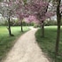 nottingham