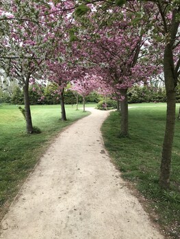 nottingham