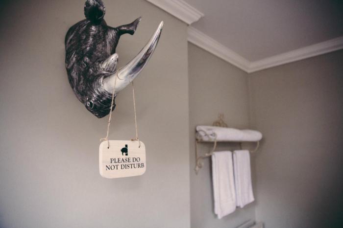the curious pig in the parlour