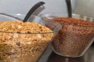 astor museum inn hostel