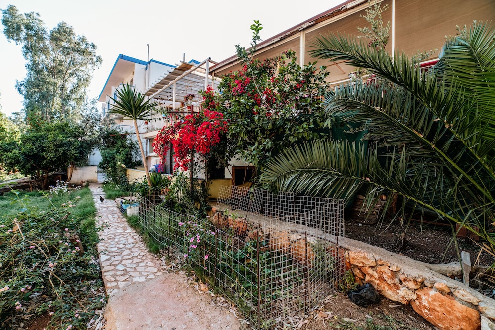 eucalyptus pension