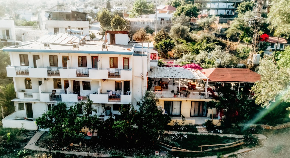 eucalyptus pension