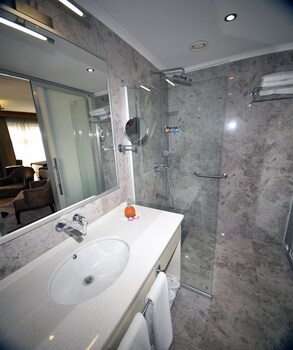the elegant hotel