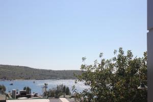 bodrum