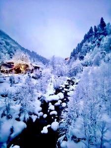 Nordic Hotel,Rize>>Camlihemsin,1 star
