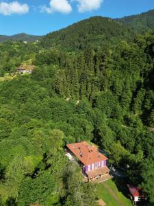 Nordic Hotel,Rize>>Camlihemsin,1 star