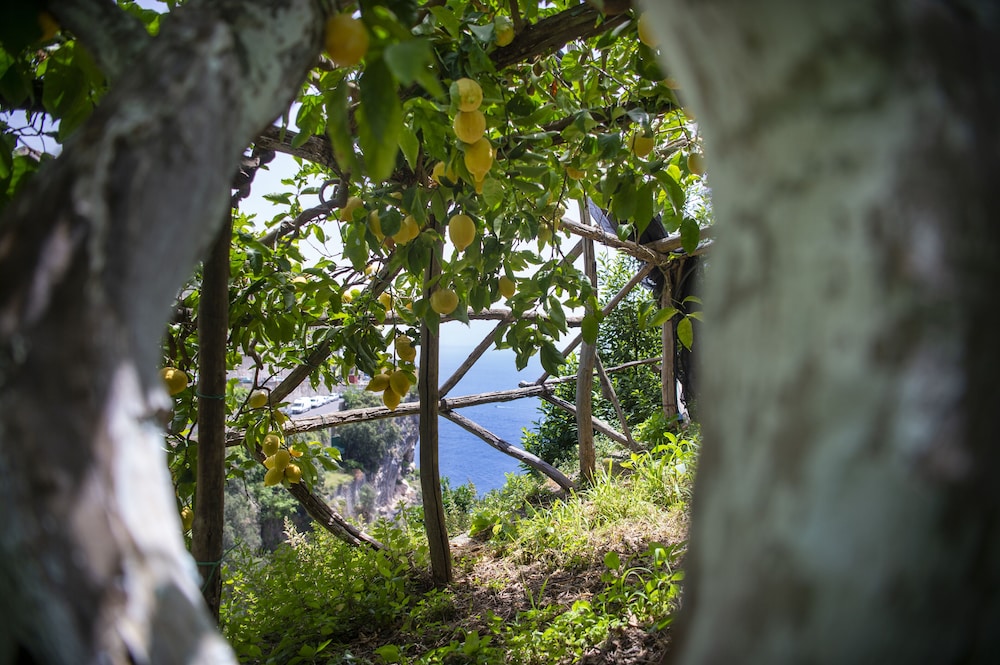 hotel la pergola