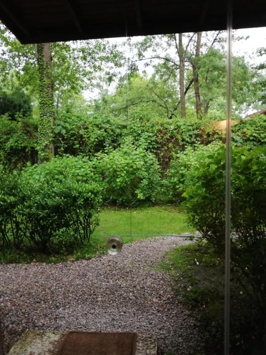 beta home lake house