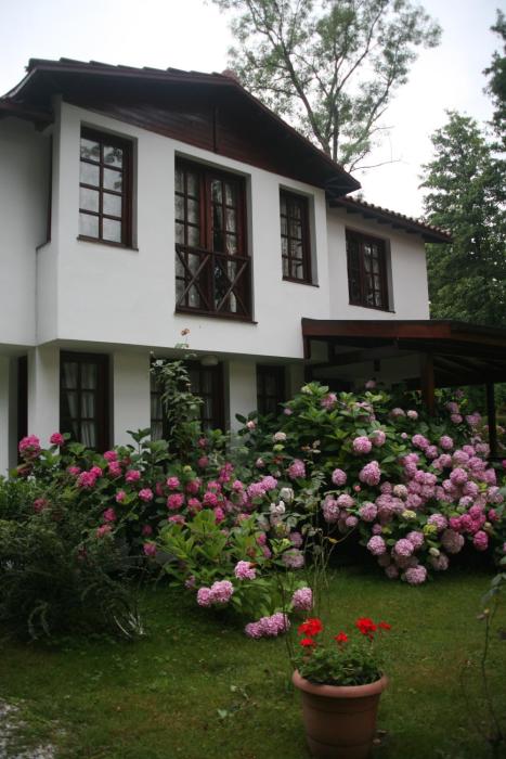 beta home lake house