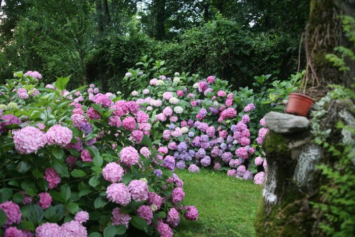 beta home lake house