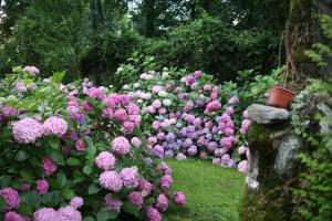 beta home lake house