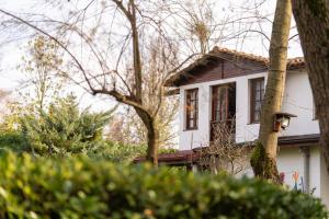 beta home lake house