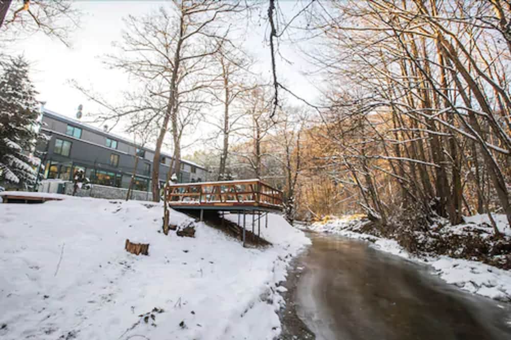 bolu