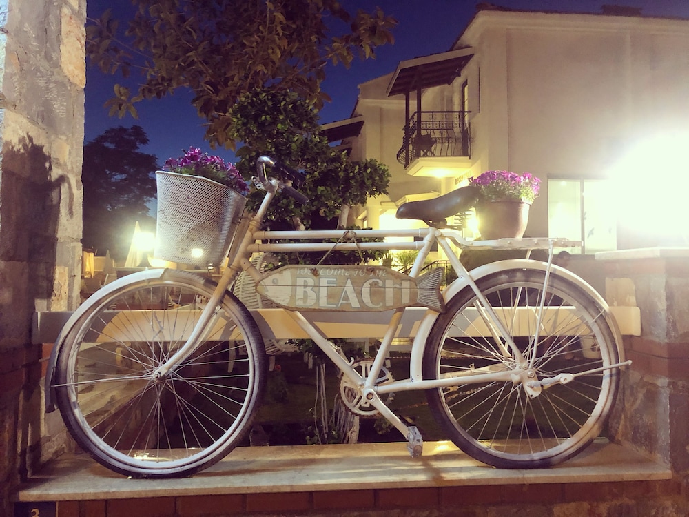 bronze hotel adults only