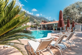 bronze hotel adults only